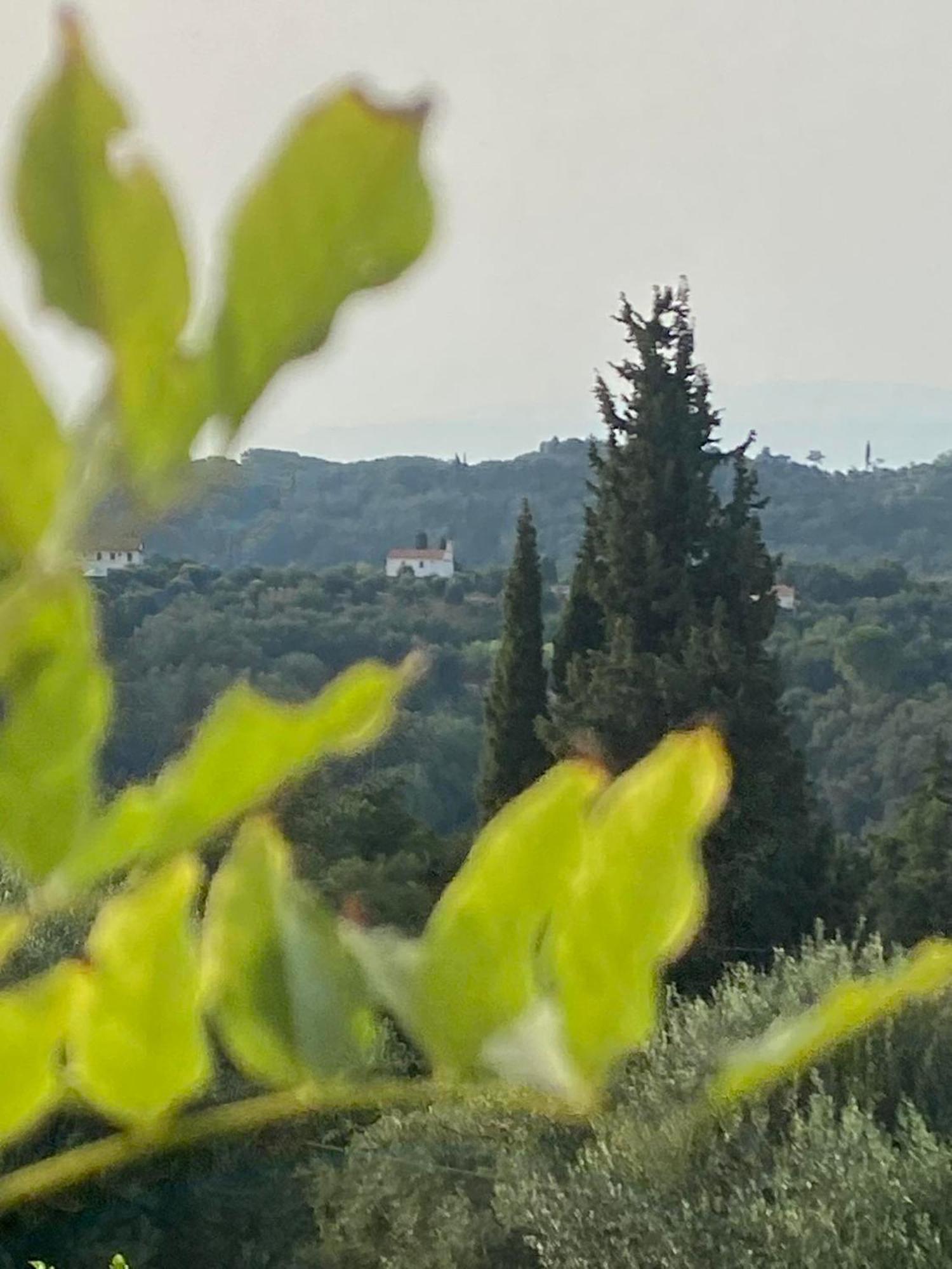 Dinateli Houses - Live Like A Local In Corfu Kastellanoi (Agios Georgios (Corfu)) Exterior foto